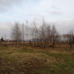 Community garden views in Maribor. Source Eutropian