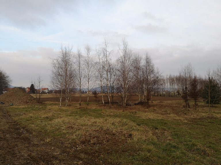 Community garden views in Maribor. Source Eutropian